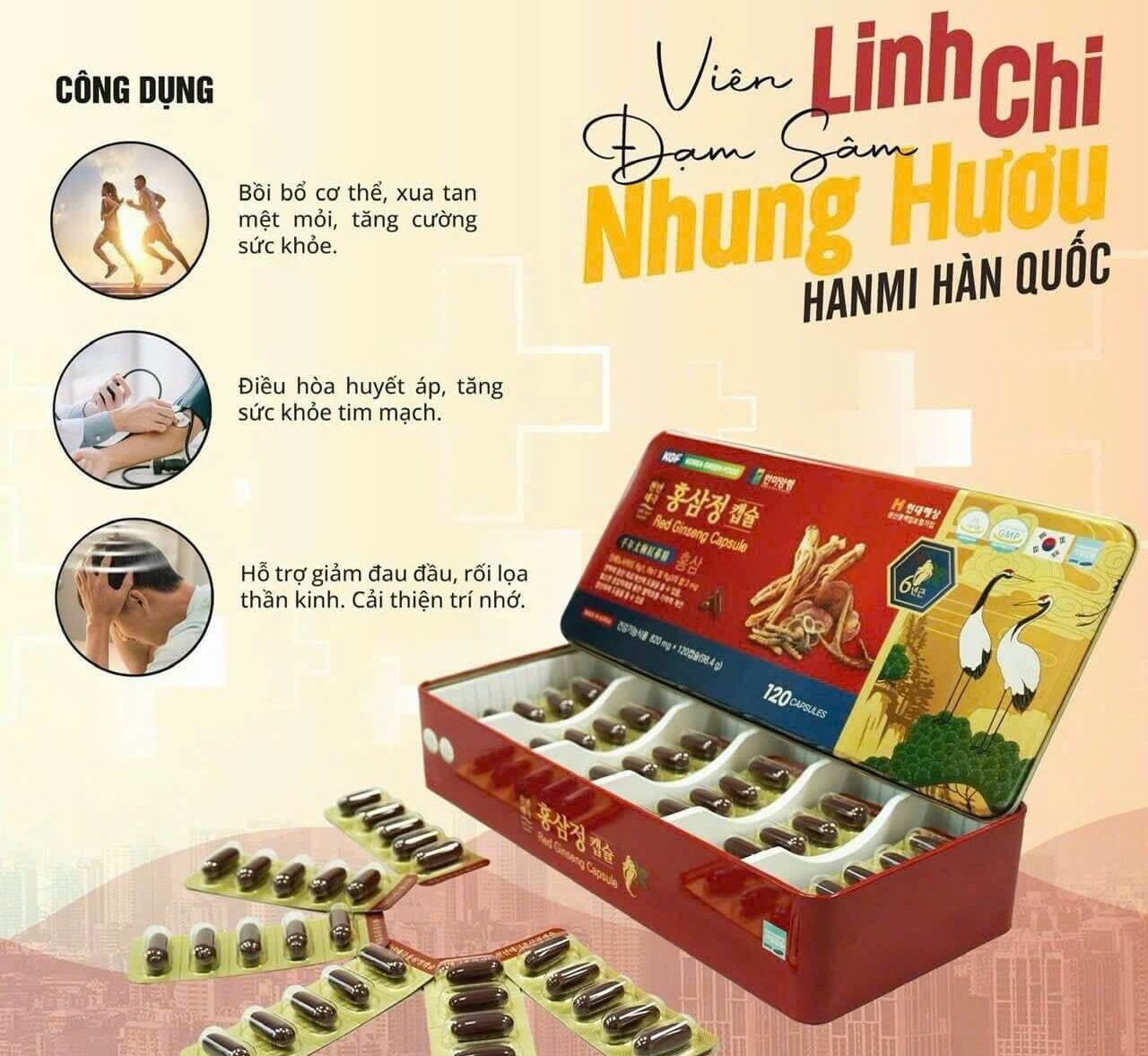 Viên Hồng Sâm Nhung Hươu Linh Chi KGF
